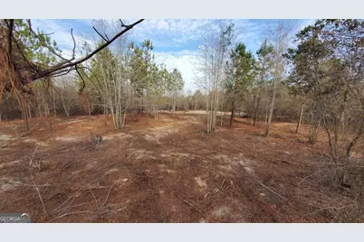 ----- Sr 19, Dublin, GA 31021 - Photo 13