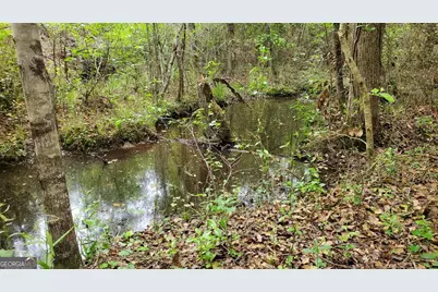 ----- Sr 19, Dublin, GA 31021 - Photo 13