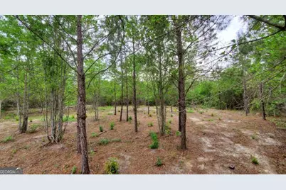 ----- Sr 19, Dublin, GA 31021 - Photo 5