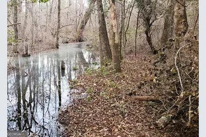 ----- Sr 19, Dublin, GA 31021 - Photo 21