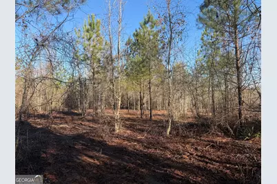 ----- Sr 19, Dublin, GA 31021 - Photo 9