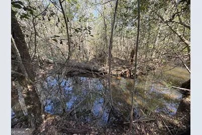 ----- Sr 19, Dublin, GA 31021 - Photo 21