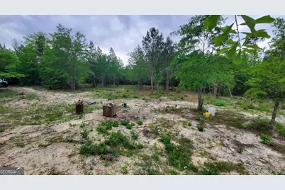 ----- Sr 19, Dublin, GA 31021 - Photo 3