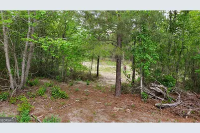 ----- Sr 19, Dublin, GA 31021 - Photo 7