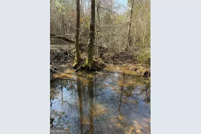 ----- Sr 19, Dublin, GA 31021 - Photo 23