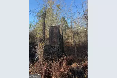 ----- Sr 19, Dublin, GA 31021 - Photo 15