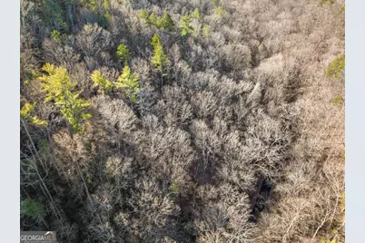 0 River View Lot 12 Trail W, Dahlonega, GA 30533 - Photo 9