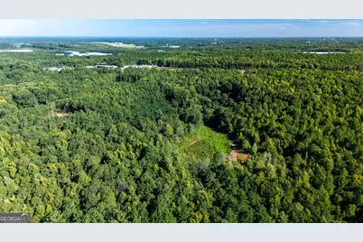 0 New Hutchinson Mill Road, Lagrange, GA 30241 - Photo 9