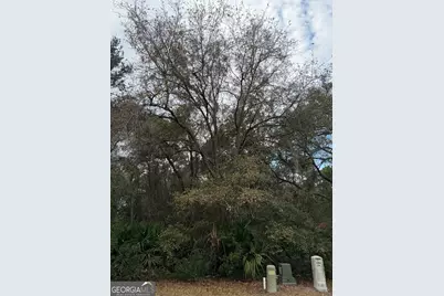 V/L 823 Stern Street, Saint Marys, GA 31558 - Photo 1