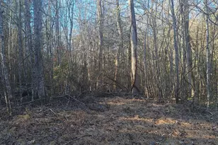 0 Bent Wood Ln, Blue Ridge, GA 30513 - Photo 1