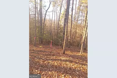 0 Bent Wood Lane, Blue Ridge, GA 30513 - Photo 11
