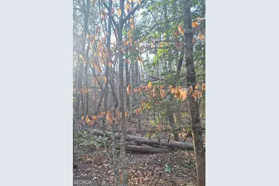 0 Bent Wood Lane, Blue Ridge, GA 30513 - Photo 3