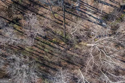 0 J B Owens Road, Bethlehem, GA 30620 - Photo 21