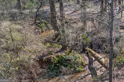 0 J B Owens Road, Bethlehem, GA 30620 - Photo 23