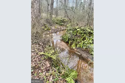 0 J B Owens Road, Bethlehem, GA 30620 - Photo 7