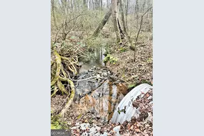 0 J B Owens Road, Bethlehem, GA 30620 - Photo 9