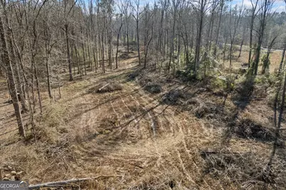 0 J B Owens Road, Bethlehem, GA 30620 - Photo 27