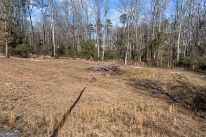 0 J B Owens Road, Bethlehem, GA 30620 - Photo 5