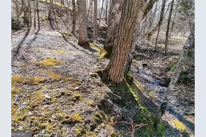 2912 Gribble Edwards Road, Hayesville, NC 28904 - Photo 27