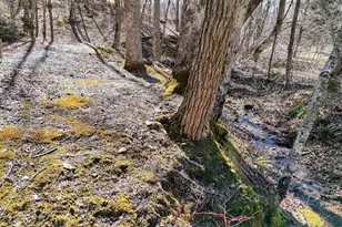 2912 Gribble Edwards Rd, Hayesville, NC 28904 - Photo 27