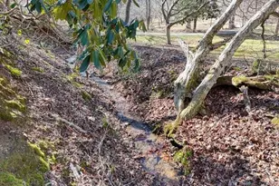 2912 Gribble Edwards Rd, Hayesville, NC 28904 - Photo 31