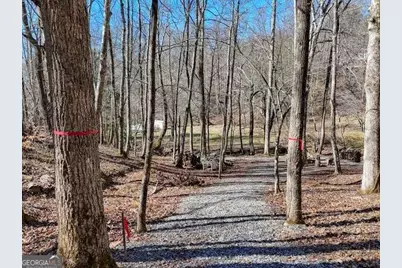 2912 Gribble Edwards Road, Hayesville, NC 28904 - Photo 25