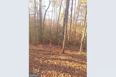 Lots 15A 16A 17 Mill Creek Acres Lane, Blue Ridge, GA 30513 - Photo 9