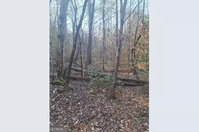 Lots 15A 16A 17 Mill Creek Acres Lane, Blue Ridge, GA 30513 - Photo 3