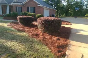 208 Autumn Trail Way, Waverly Hall, GA 31831 - Photo 3