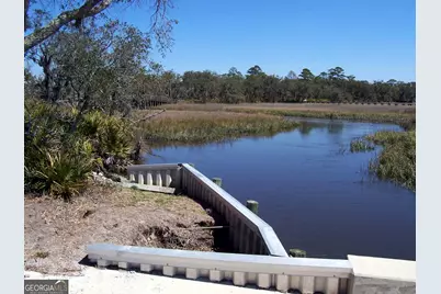 Lot 165 Sunrise Drive, Woodbine, GA 31569 - Photo 7