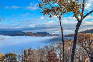 383 Bayberry Ln, Sky Valley, GA 30537 - Photo 81