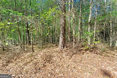 132 Melody Point, Hartwell, GA 30643 - Photo 11