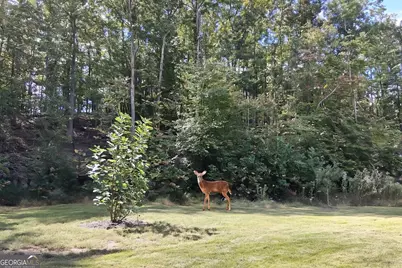 197 Evecliff Drive, Dallas, GA 30132 - Photo 45