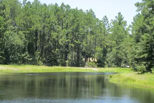 V/L 81 306 Cumberland Harbour Blvd, Saint Marys, GA 31558 - Photo 1