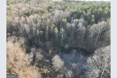 61 Highway 145, Eastanollee, GA 30538 - Photo 21