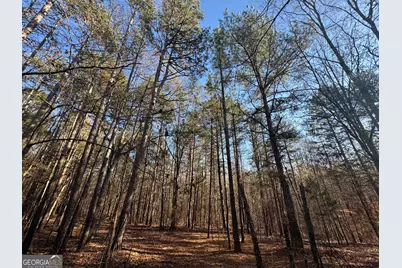 61 Highway 145, Eastanollee, GA 30538 - Photo 5