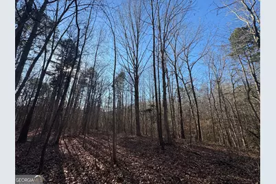 61 Highway 145, Eastanollee, GA 30538 - Photo 7