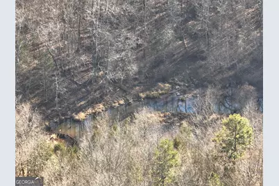 61 Highway 145, Eastanollee, GA 30538 - Photo 15