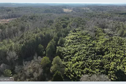 61 Highway 145, Eastanollee, GA 30538 - Photo 11