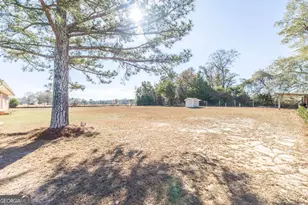 26 Mt Olive Church Rd, Reynolds, GA 31076 - Photo 31