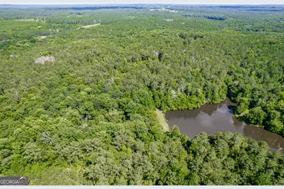 1041 River Farm Way, Madison, GA 30650 - Photo 61