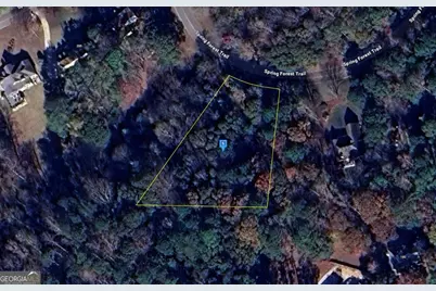 49 Spring Forest Trail, Sharpsburg, GA 30277 - Photo 1