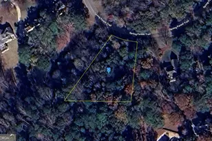 49 Spring Forest Trail, Sharpsburg, GA 30277 - Photo 1