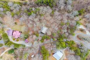 244 Lapidary Ln, Young Harris, GA 30582 - Photo 51