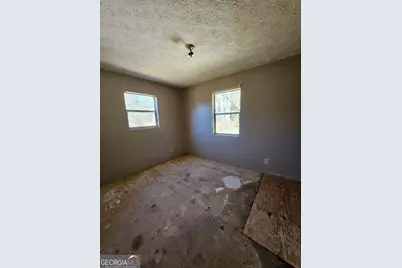 914 Chubbtown Rd, Cedartown, GA 30125 - Photo 9