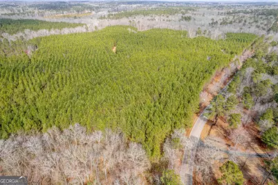 Lots 1/2/3 Lower Harmony Rd, Eatonton, GA 31024 - Photo 7