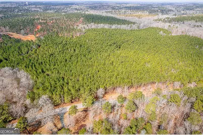 Lots 1/2/3 Lower Harmony Rd, Eatonton, GA 31024 - Photo 9