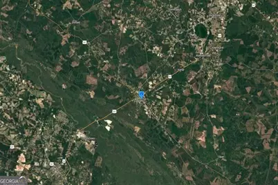 48 Macon Street, Ludowici, GA 31316 - Photo 5