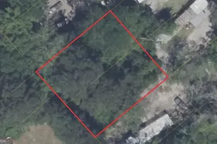 48 Macon St, Ludowici, GA 31316 - Photo 1