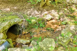 993 Lakeside Dr, Blairsville, GA 30512 - Photo 47